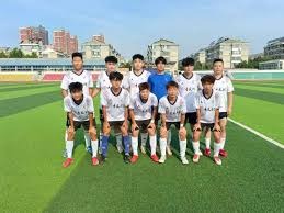 2026年世界杯将引入AI技术提升比赛体验